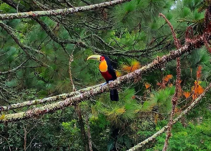 Casa Fazenda Inglesa Petropolis Rj