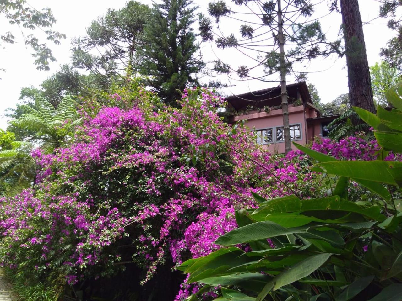 Casa de Férias Casa Fazenda Inglesa Rj *